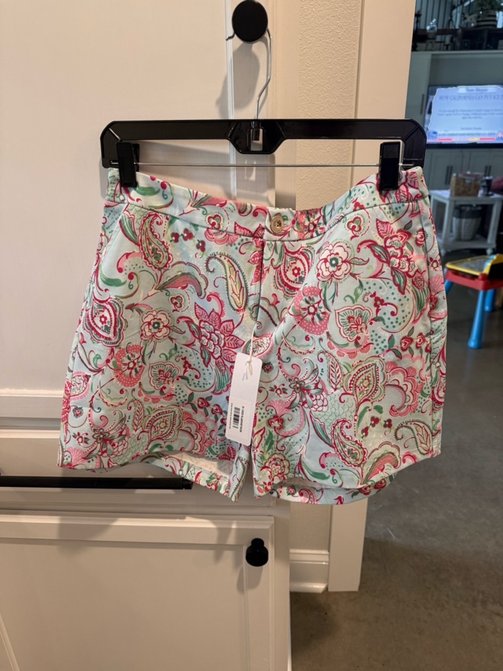Dear Scarlett Floral Paisley Mint and Pink Women's Shorts